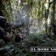 ELN y disidencias de las FARC